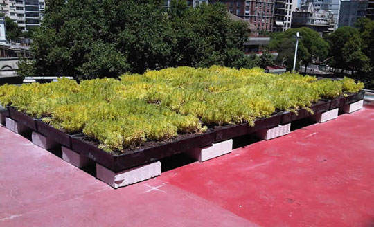 Terraza Verde Modular en Cordoba, Argentina